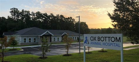 Leading Veterinary Care: Discover The Best Animal Hospital in Ox Bottom