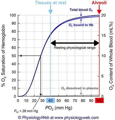 Oxygen-Hemoglobin Dissociation Curve Khan Academy