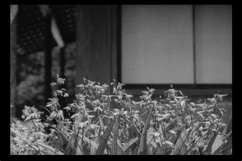 Ozu Virtual Catalog Of Japanese Tradition Late Spring