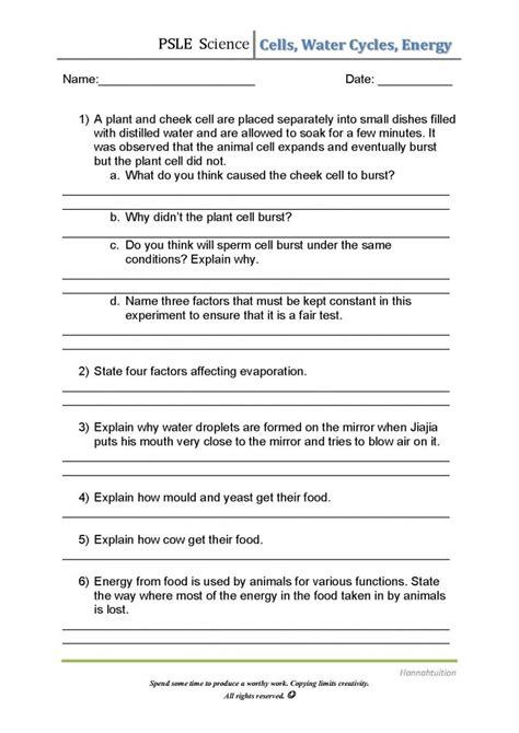 Make Science Simple With P6 Science Topical Worksheets
