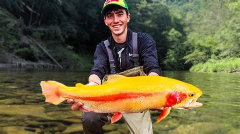 PA Trout Catches