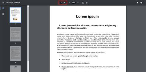 PDF Document Example