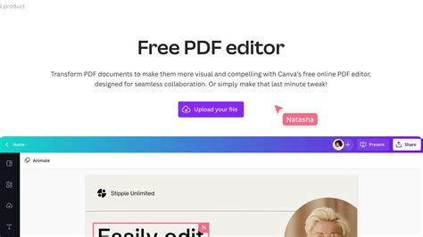 PDF Editor