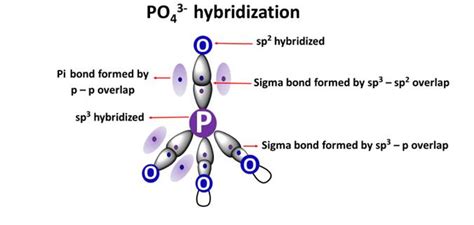 PO43- Hybridization