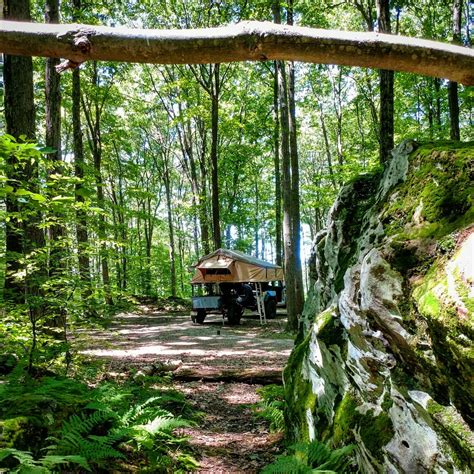 Unleash Your Wild Side: Discover the Best PA State Forest Camping Sites