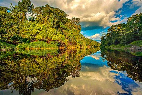 Pacaya Samiria Reserve