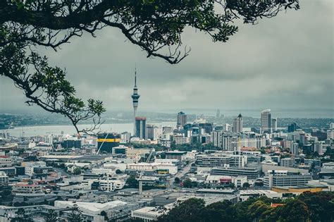Pace and Coverage Auckland Tour