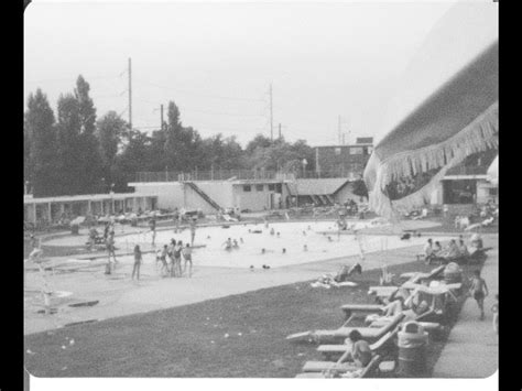 Dive into Splendor: Discover the Ultimate Experience at Packer Park Swim Club