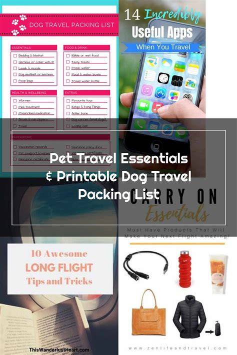 Packing Essentials for the Urban Dog