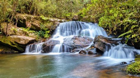 Packing For Andasibe