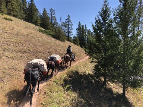 Packing For Horseback Riding
