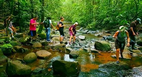 Packing for Sinharaja Rainforest Tour