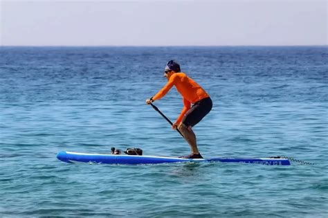 Paddleboarding Tips and Tricks