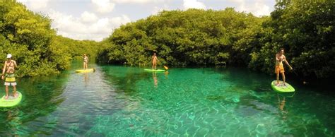 Paddleboarding in Cenotes