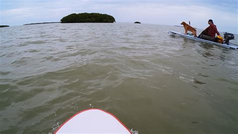 Paddleboarding to Flamingo Beach