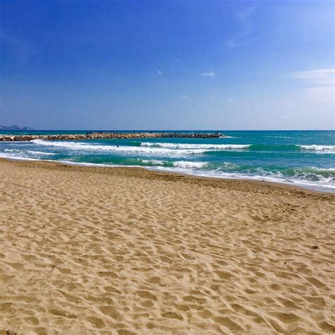 Paddlesurf School Selection