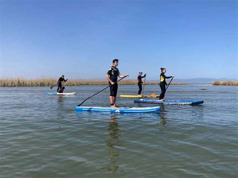 Paddlesurfing Experience