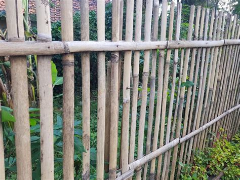 Pagar Bamboe Sundanese View Padise Stock Image - Image of pagar, bamboe