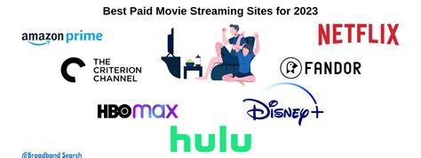 Paid Movie Streaming Platforms Limitations