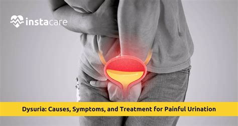 Painful Urination & Pregnancy: What You Need to Know.