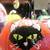 Paint Your Way into Playfulness: Delightful Cat Pumpkin Painting Inspirations