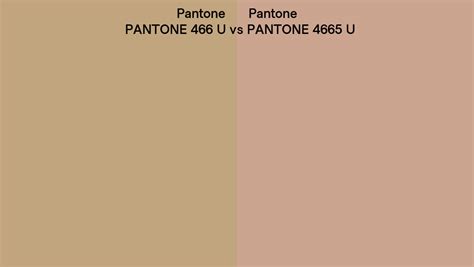 Paint Color 466