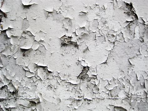Paint Peeling Off Wall Like Skin