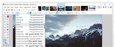 Paint.NET Interface