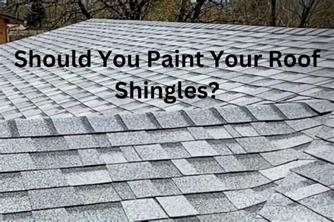 Painting Roofing Shingles