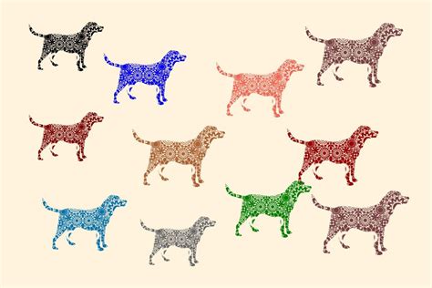 Paisley pattern dog