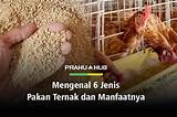 Pakan Ternak Kesayangan Indonesia
