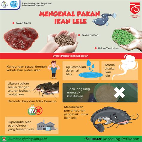Pakan