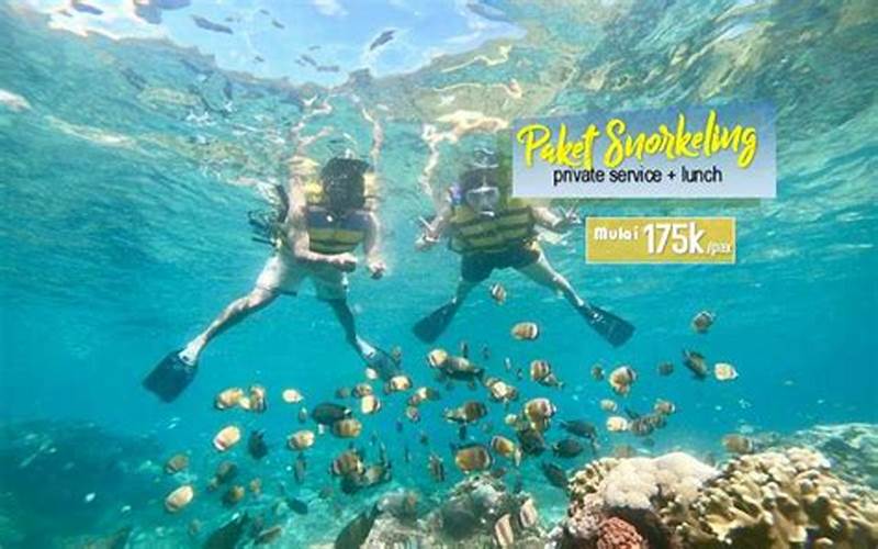 Paket Snorkeling Nusa Penida