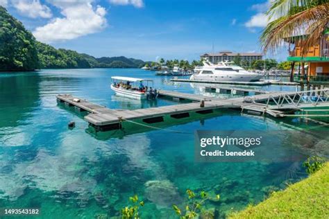 Palau Harbor View