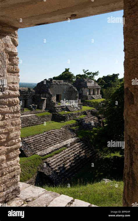 Palenque Photography