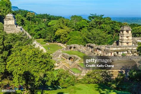 Palenque Reflection