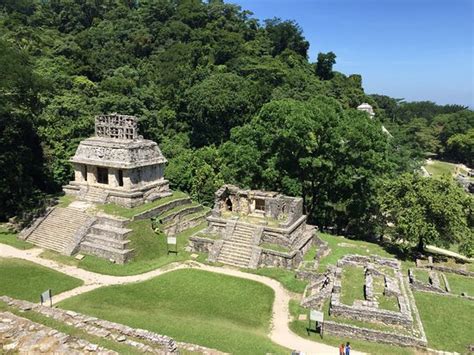 Palenque Travel Review