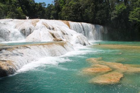 Palenque & Waterfalls Tour: Misol Ha & Agua Azul Review