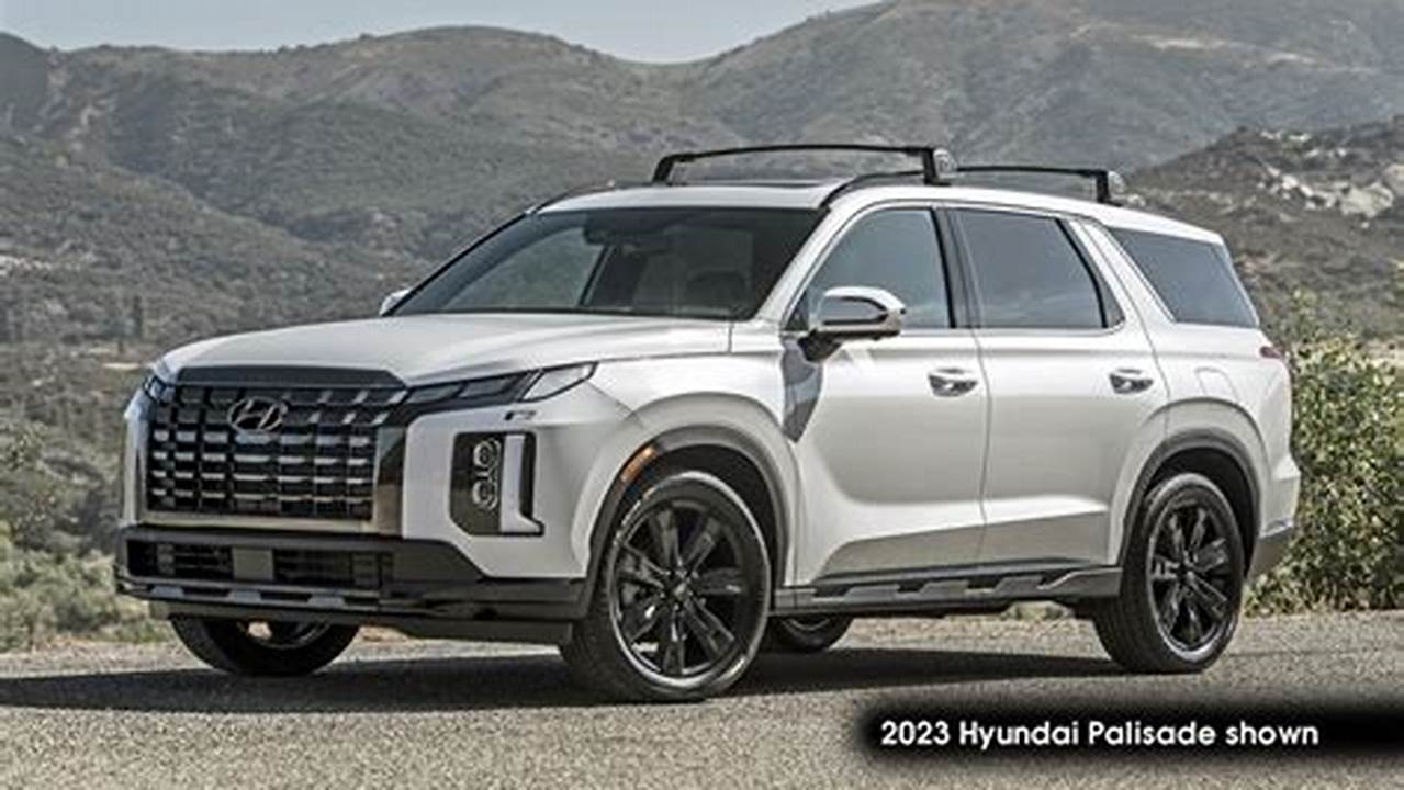 Palisade Models 2024