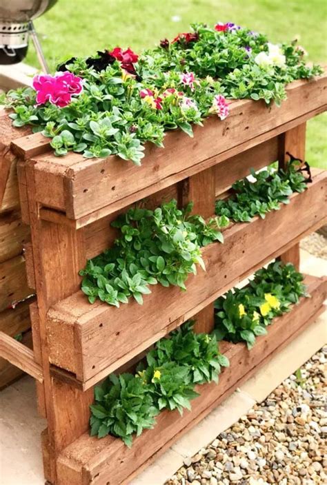 Pallet Com Flores
