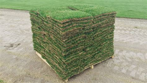 Pallet of Sod Weight