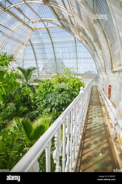 Palm House Interior
