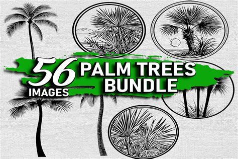 Download Palm Tree Bundle Creativefabrica DXF Files