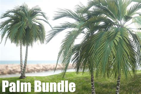 Download Palm Tree Bundle Easy Edite