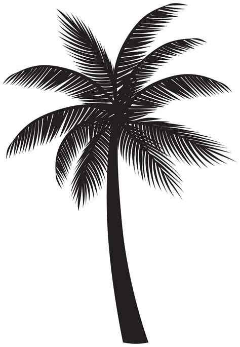 Palm Tree Silhouette Transparent Background