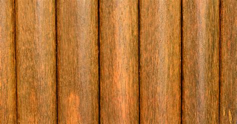 Palm Tree Facts, Types, Uses, Benefits, and Products Offered