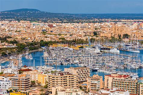 Palma Harbor