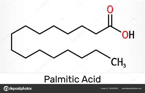 Transform Your Skin with the Ultimate Moisturizing Power of Palmitic Acid