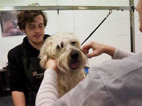 Pampering and Grooming Services