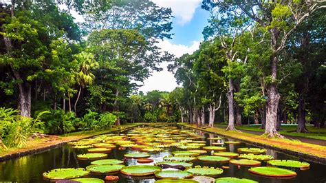 Pamplemousses Botanical Garden